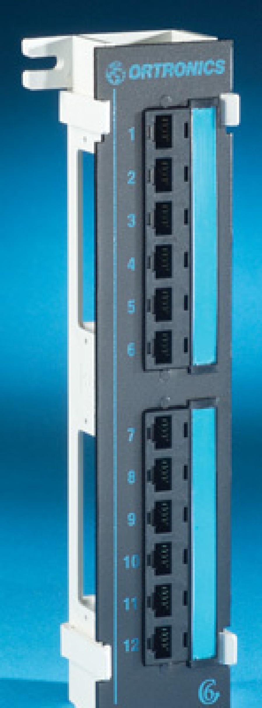 Netzwerkinfrastruktur Legrand Patchpanels | Clarity 6 12-Port-Mini-Patchpanel Der Kategorie 6 Auf 89-D-Halterung 10 Zoll X 2,3 Zoll